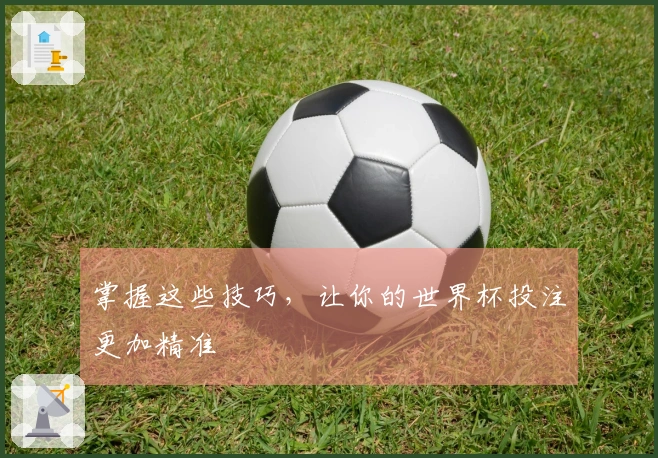 掌握这些技巧，让你的世界杯投注更加精准