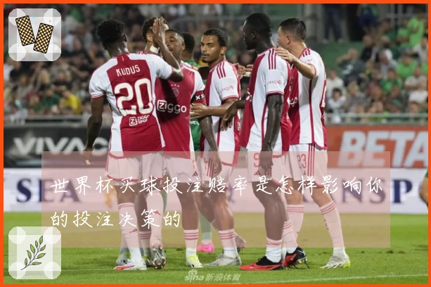 世界杯买球投注赔率是怎样影响你的投注决策的