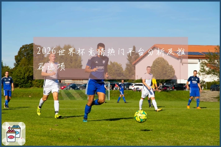 2026世界杯竞猜热门平台分析及推荐选项