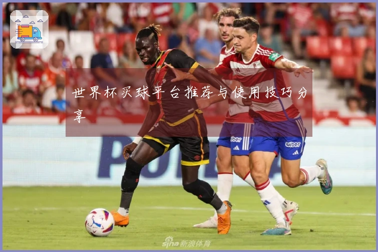 世界杯买球平台推荐与使用技巧分享