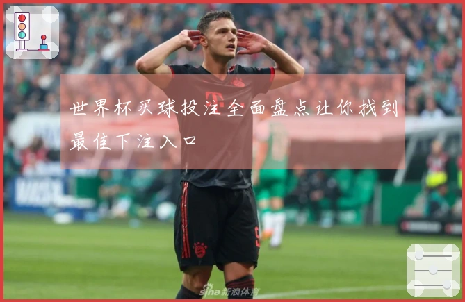 世界杯买球投注全面盘点让你找到最佳下注入口