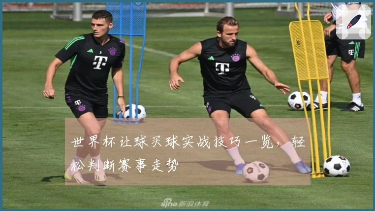 世界杯让球买球实战技巧一览，轻松判断赛事走势