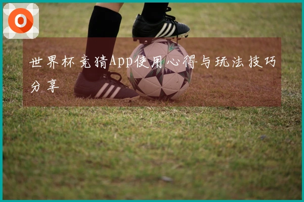 世界杯竞猜App使用心得与玩法技巧分享