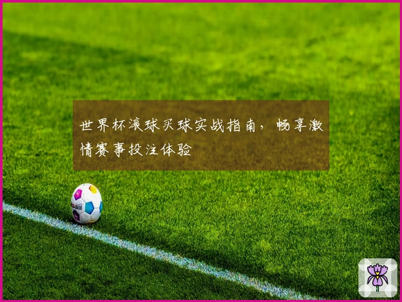 世界杯滚球买球实战指南，畅享激情赛事投注体验