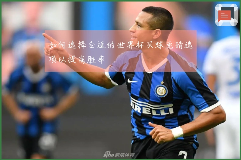 如何选择合适的世界杯买球竞猜选项以提高胜率