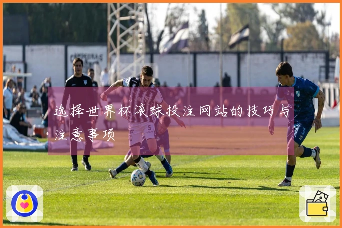 选择世界杯滚球投注网站的技巧与注意事项