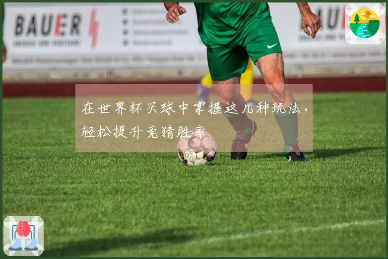 在世界杯买球中掌握这几种玩法，轻松提升竞猜胜率
