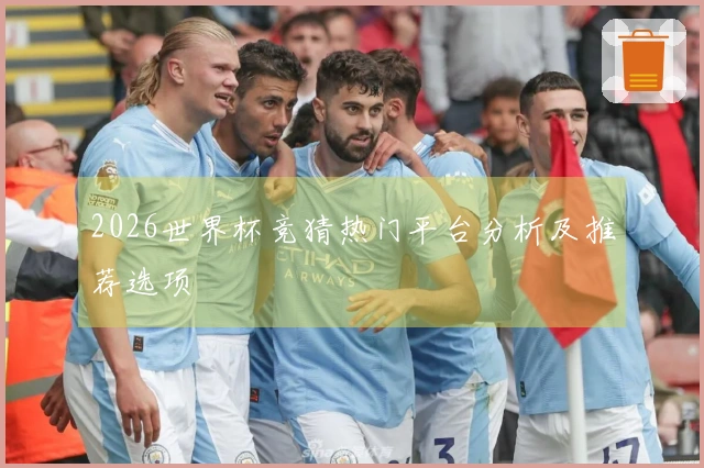 2026世界杯竞猜热门平台分析及推荐选项